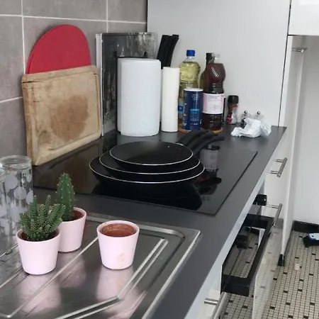 Cathedrale, Champagne Near, Park And Stores Close * ריימס